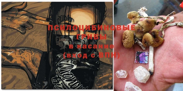 крисы Балабаново